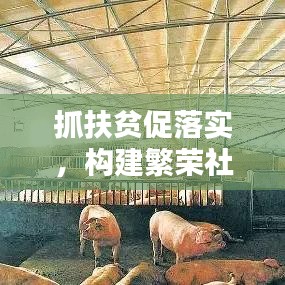 抓扶貧促落實(shí),構(gòu)建繁榮社會(huì)的關(guān)鍵所在