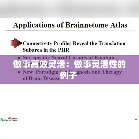 做事高效靈活:做事靈活性的例子