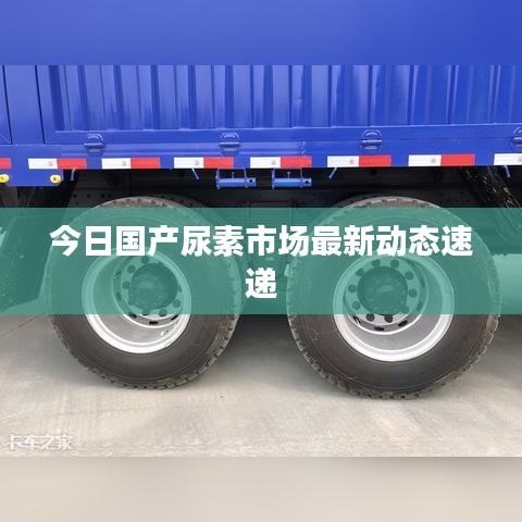 今日國產尿素市場最新動態速遞