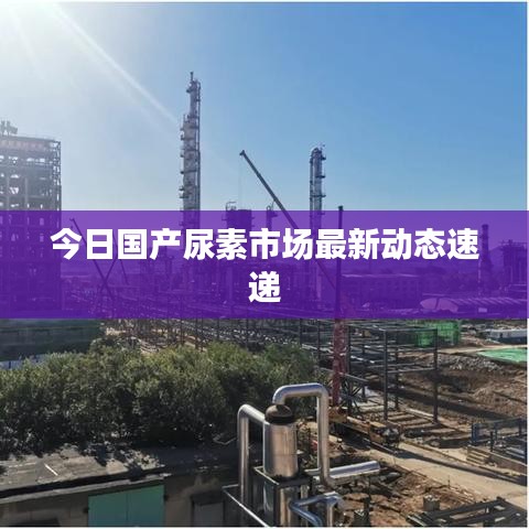 今日國產尿素市場最新動態速遞