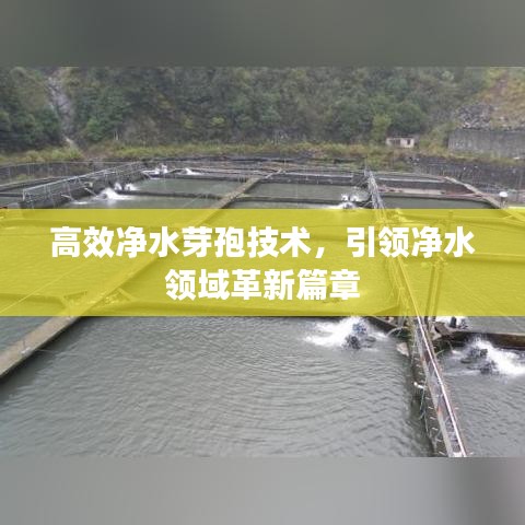 高效凈水芽孢技術，引領凈水領域革新篇章