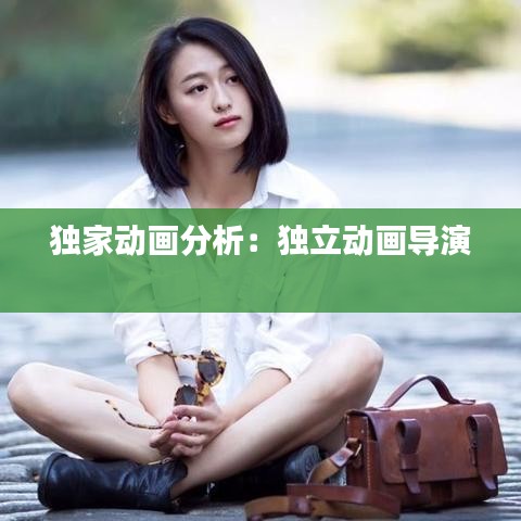 獨家動畫分析:獨立動畫導演