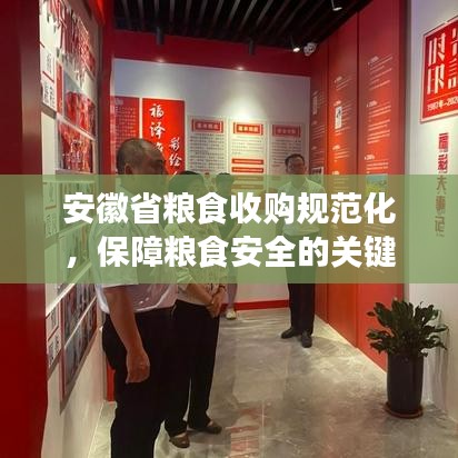 安徽省糧食收購規范化,保障糧食安全的關鍵行動