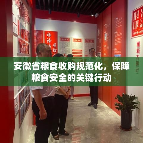安徽省糧食收購規范化,保障糧食安全的關鍵行動