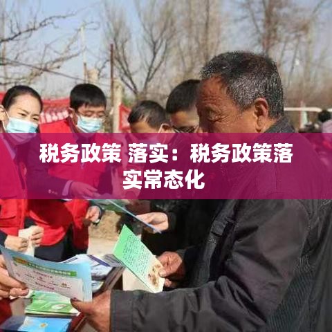 稅務政策 落實：稅務政策落實常態化 