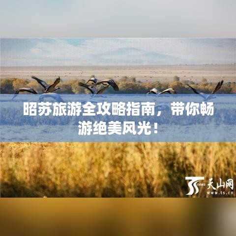 昭蘇旅游全攻略指南,帶你暢游絕美風光!