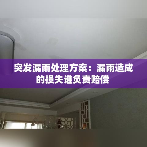 突發漏雨處理方案：漏雨造成的損失誰負責賠償 