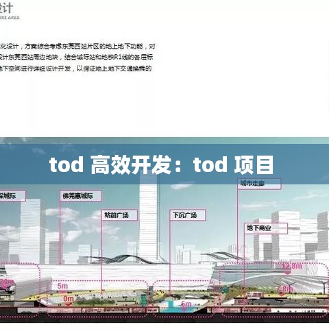 tod 高效開發(fā)：tod 項目 