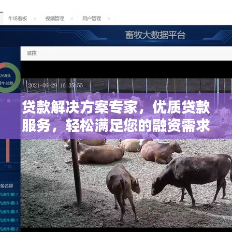 貸款解決方案專家,優(yōu)質(zhì)貸款服務(wù),輕松滿足您的融資需求!