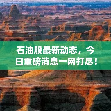 石油股最新動態(tài)，今日重磅消息一網(wǎng)打盡！