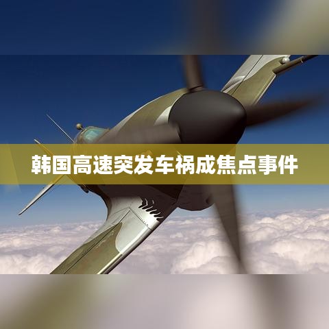 韓國高速突發車禍成焦點事件