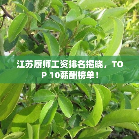 江蘇廚師工資排名揭曉，TOP 10薪酬榜單！