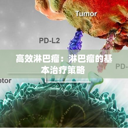 高效淋巴瘤:淋巴瘤的基本治療策略