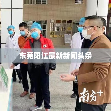 東莞陽江最新新聞頭條