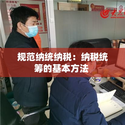 規范納統納稅:納稅統籌的基本方法