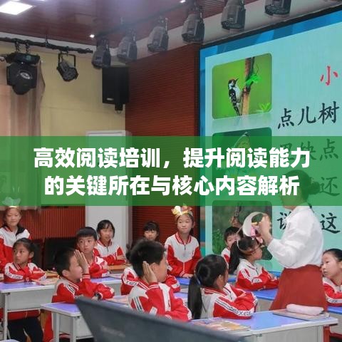 高效閱讀培訓，提升閱讀能力的關鍵所在與核心內容解析