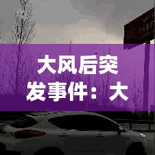 大風后突發事件:大風事件預警