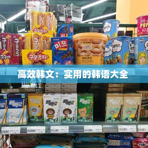 高效韓文:實用的韓語大全
