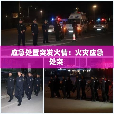 應急處置突發火情:火災應急處突