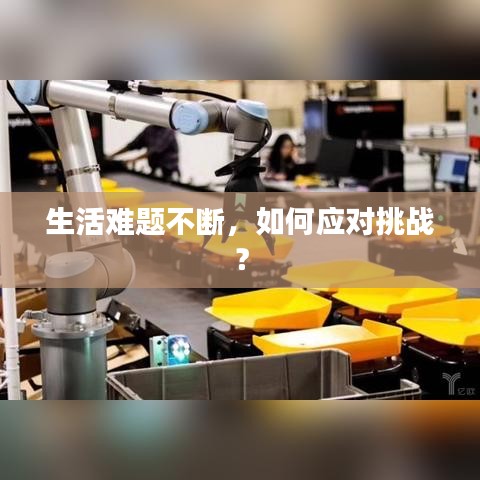 生活難題不斷,如何應對挑戰?