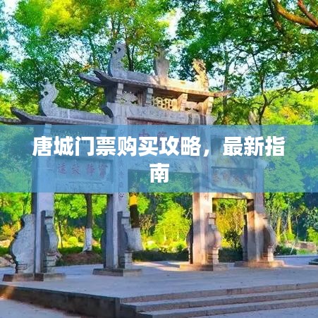 唐城門票購買攻略,最新指南