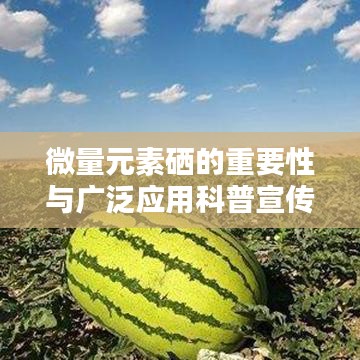 微量元素硒的重要性與廣泛應用科普宣傳啟動！