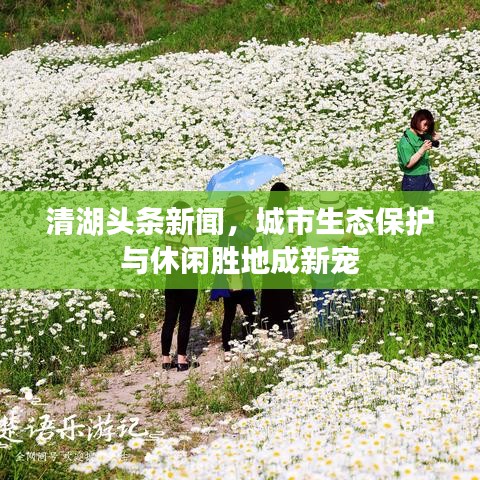 清湖頭條新聞，城市生態保護與休閑勝地成新寵