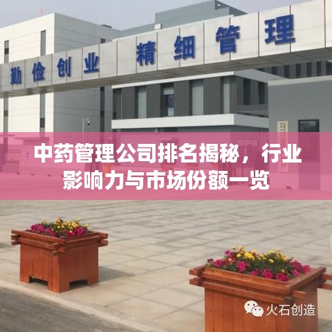 中藥管理公司排名揭秘,行業影響力與市場份額一覽