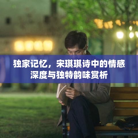 獨家記憶，宋琪琪詩中的情感深度與獨特韻味賞析