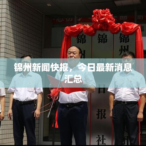 錦州新聞快報(bào),今日最新消息匯總