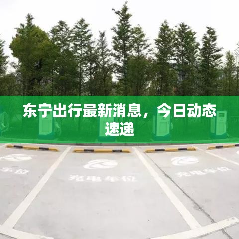 東寧出行最新消息,今日動態速遞