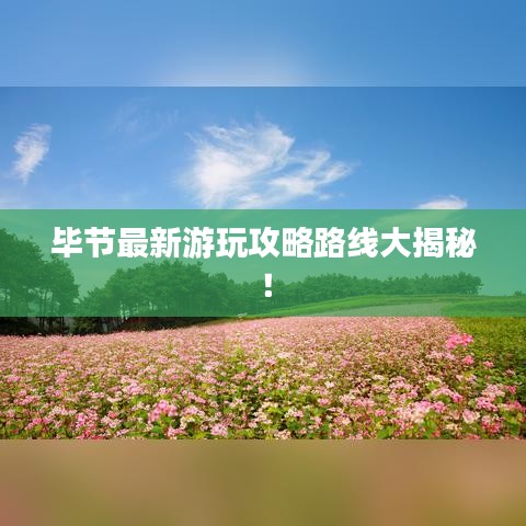 畢節(jié)最新游玩攻略路線(xiàn)大揭秘!