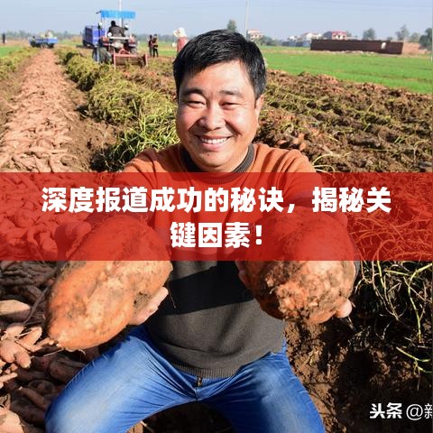 深度報道成功的秘訣,揭秘關鍵因素!