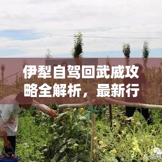 伊犁自駕回武威攻略全解析，最新行程推薦