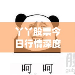 丫丫股票今日行情深度解析