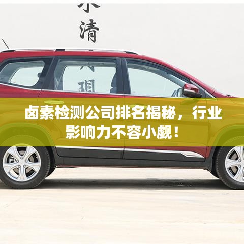 鹵素檢測公司排名揭秘，行業影響力不容小覷！
