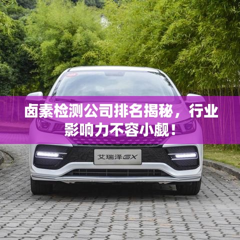 鹵素檢測公司排名揭秘,行業影響力不容小覷!