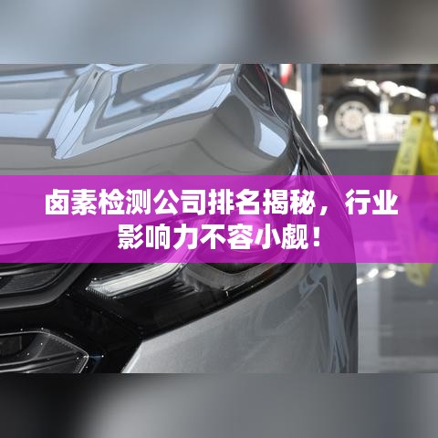 鹵素檢測公司排名揭秘,行業影響力不容小覷!