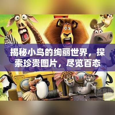 揭秘小鳥的絢麗世界,探索珍貴圖片,盡覽百態神韻!