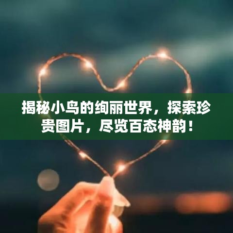 揭秘小鳥的絢麗世界，探索珍貴圖片，盡覽百態神韻！
