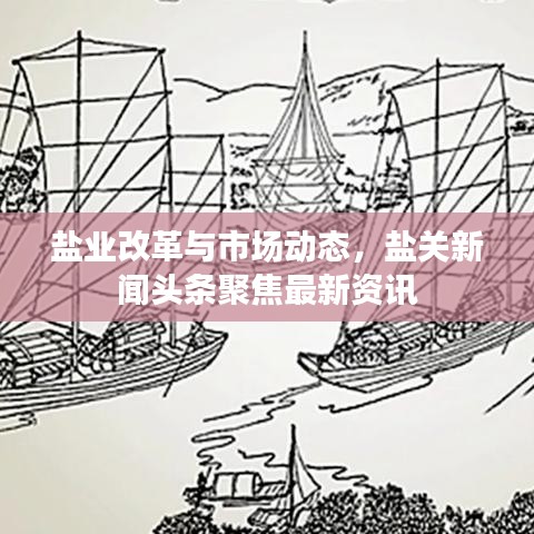 鹽業改革與市場動態，鹽關新聞頭條聚焦最新資訊