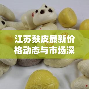 江蘇麩皮最新價(jià)格動(dòng)態(tài)與市場(chǎng)深度解析