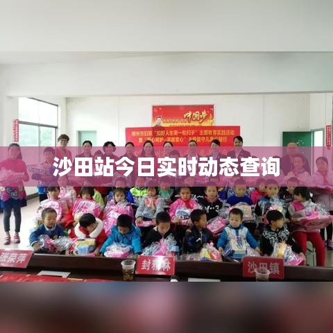 沙田站今日實時動態查詢