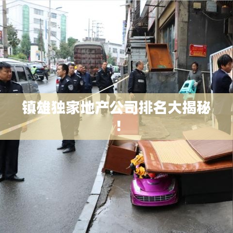鎮雄獨家地產公司排名大揭秘！