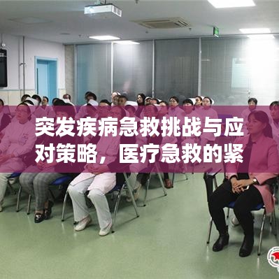 突發疾病急救挑戰與應對策略,醫療急救的緊急應對之路