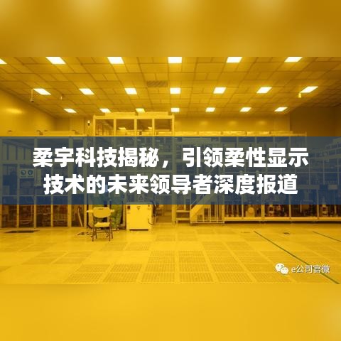 柔宇科技揭秘,引領柔性顯示技術的未來領導者深度報道