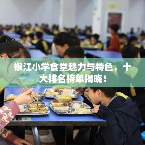 椒江小學食堂魅力與特色,十大排名榜單揭曉!