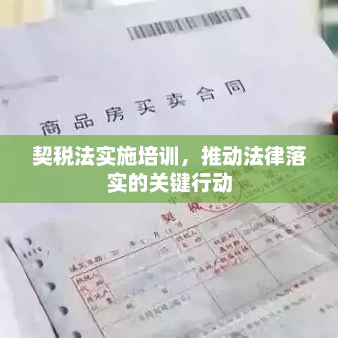 契稅法實施培訓，推動法律落實的關鍵行動
