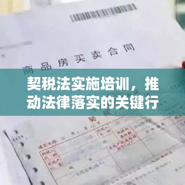 契稅法實施培訓,推動法律落實的關鍵行動