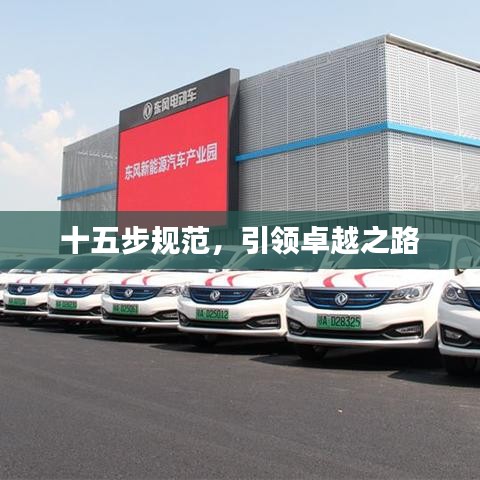 十五步規范，引領卓越之路